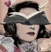 277032_203859629757438_38676808_n