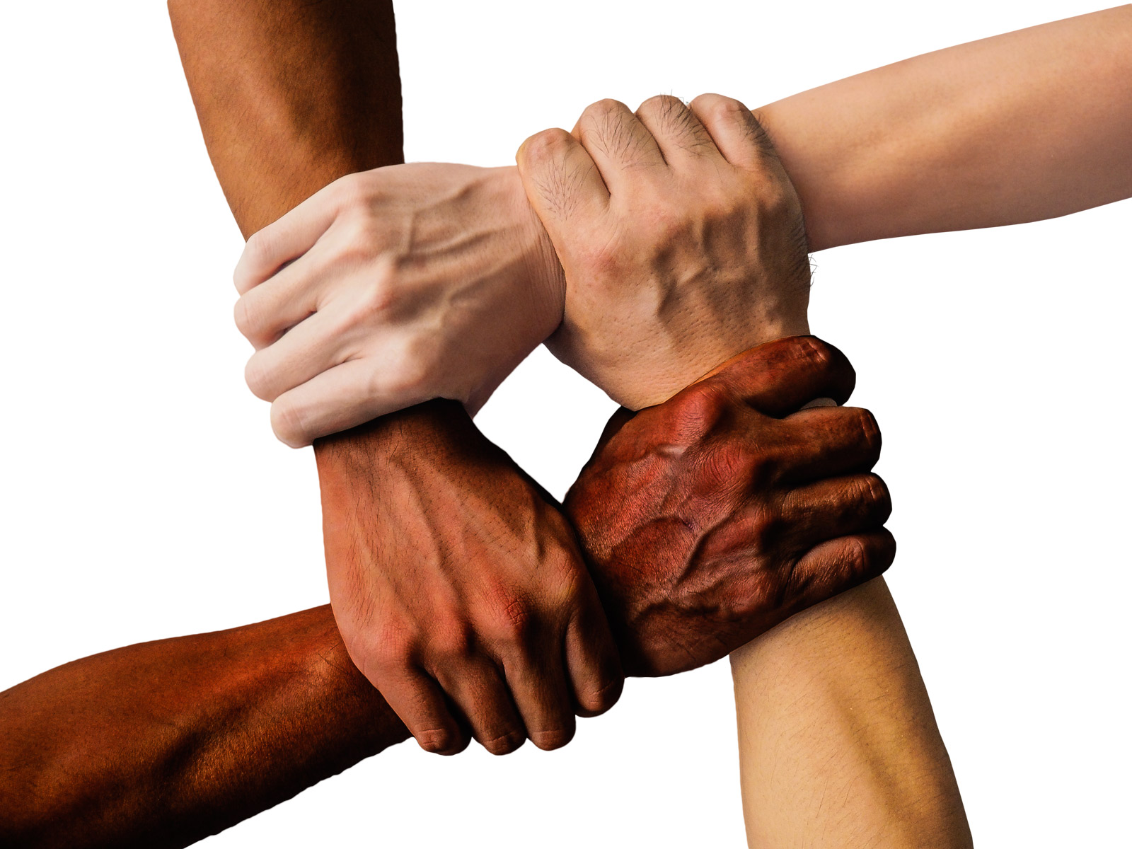 3 – Solidarietà